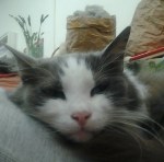 tmp_21720-20170914_154351(1)491309440